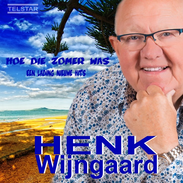 Hoe die zomer was (Een lading nieuwe hits) album cover