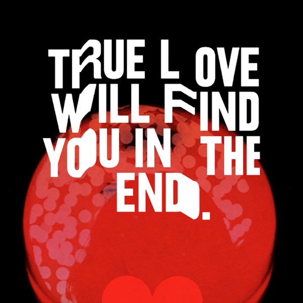 True Love Will Find You in the End - Single album cover
