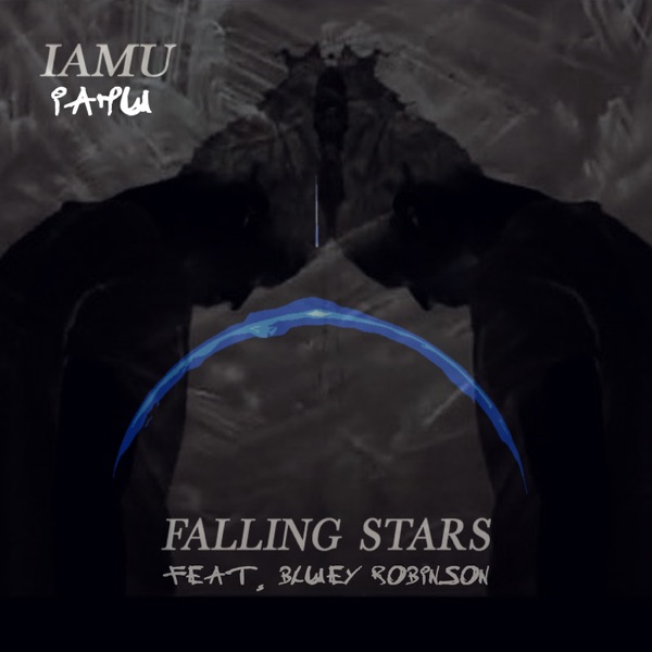 Falling Stars (feat. Bluey Robinson) - Single album cover