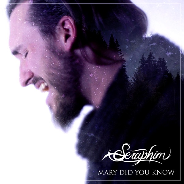 Mary, Did You Know? (feat. Emily Torres) - Single album cover
