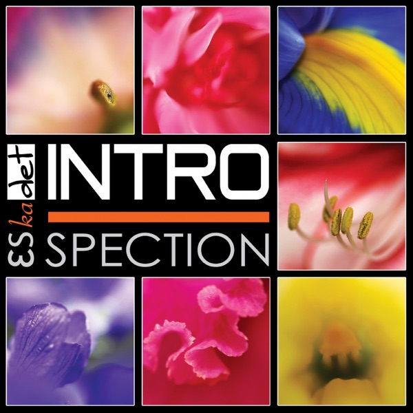 Introspection album cover